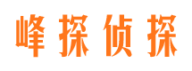 黄石港市调查公司